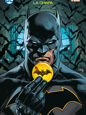 BATMAN-FLASH: LA CHAPA EDICION DELUXE - ECC