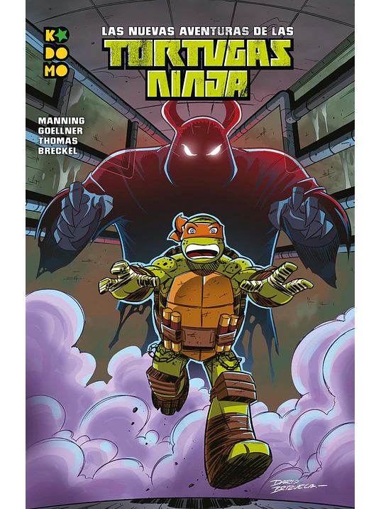 LAS NUEVAS AVENTURAS DE LAS TORTUGAS NINJA NUM. 23 - ECC 1