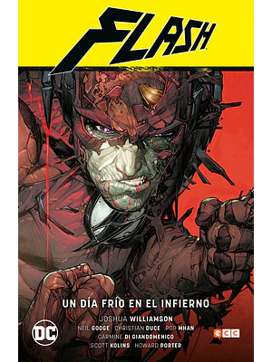 FLASH VOL. 05: UN DA FRO EN EL INFIERNO FLASH SAGA - RENACIMIENTO PARTE 5 - ECC