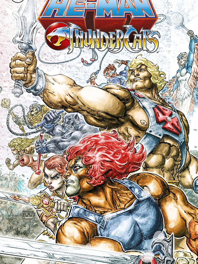 HE-MAN-THUNDERCATS - ECC 1