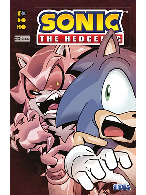 SONIC THE HEDGEHOG NUM. 20 - ECC
