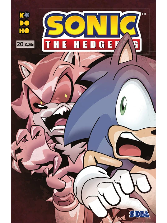 SONIC THE HEDGEHOG NUM. 20 - ECC 1