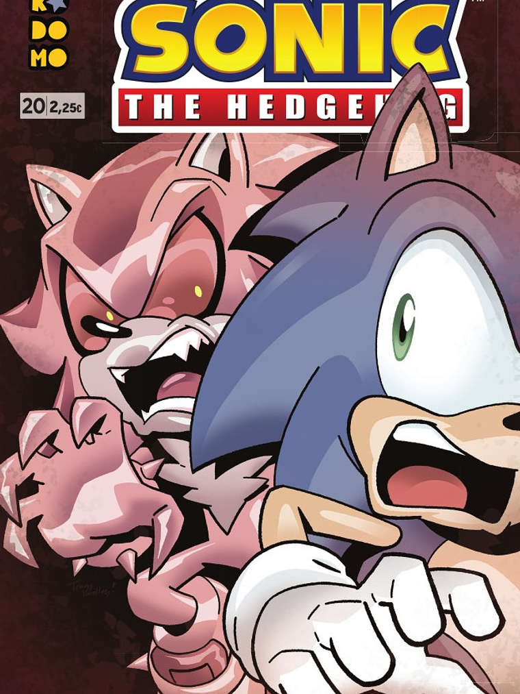 SONIC THE HEDGEHOG NUM. 20 - ECC 1