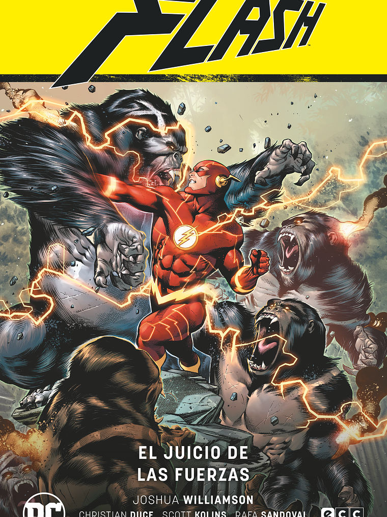 FLASH VOL. 07: EL JUICIO DE LAS FUERZAS FLASH SAGA - LA B˜SQUEDA DE LA FUERZA PARTE 2 - ECC 1