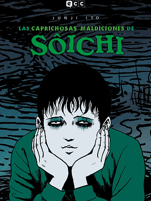 LAS CAPRICHOSAS MALDICIONES DE SOICHI FLEXIBOOK - ECC