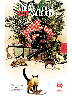 VUELVE A CASA, GATA CALLEJERA - ECC