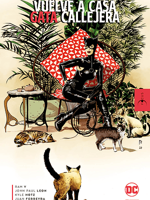 VUELVE A CASA, GATA CALLEJERA - ECC