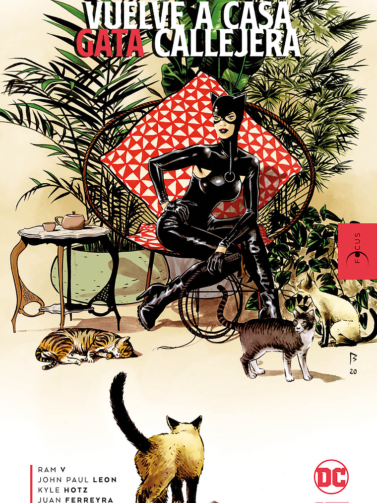 VUELVE A CASA, GATA CALLEJERA - ECC 1