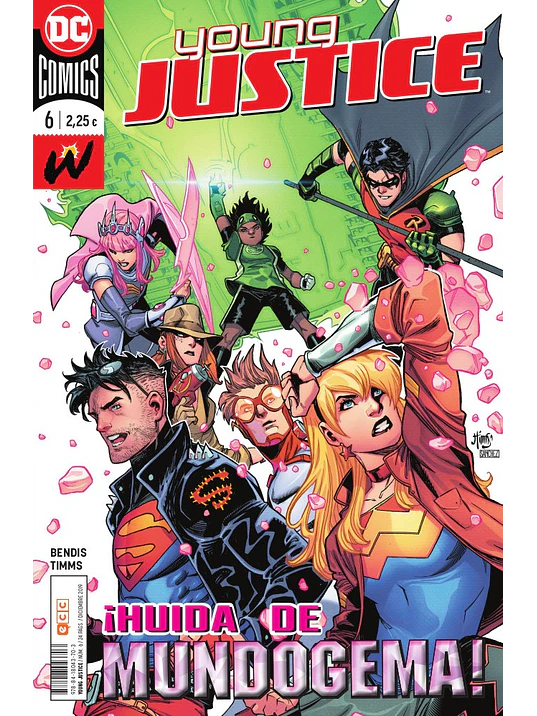 YOUNG JUSTICE NUM. 06 - ECC 1