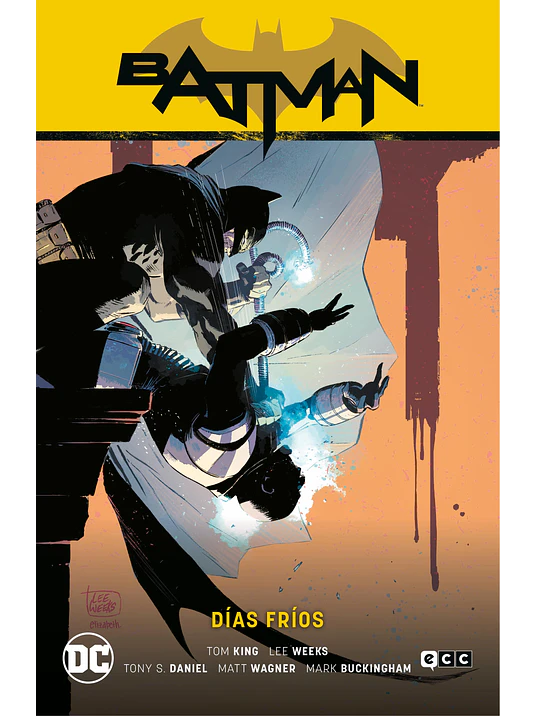 BATMAN VOL. 11: D_S FR_S BATMAN SAGA - H_OES EN CRISIS PARTE 1 - ECC 1
