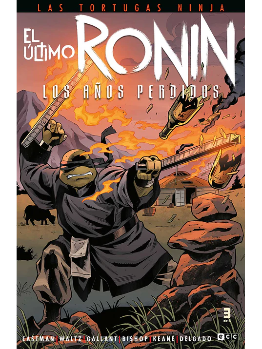 LAS TORTUGAS NINJA: EL _TIMO RONIN NUM. 3 DE 5 - ECC 1