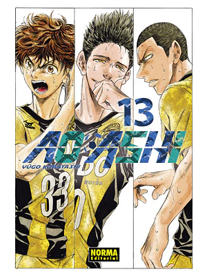 AO ASHI 13 - NORMA