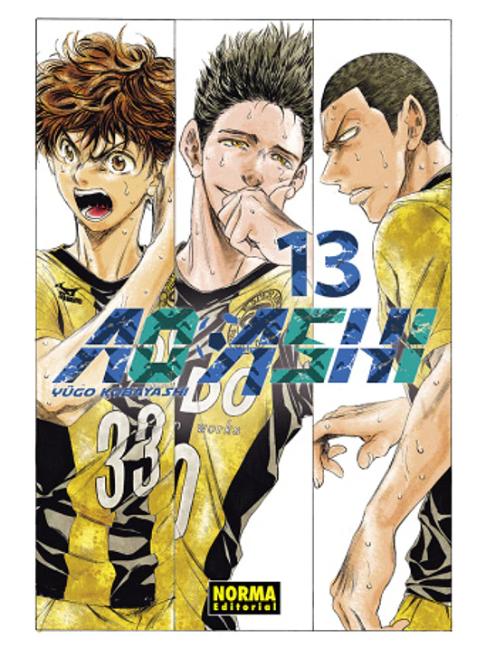 AO ASHI 13 - NORMA 1