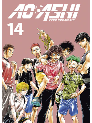 AO ASHI 14 - NORMA