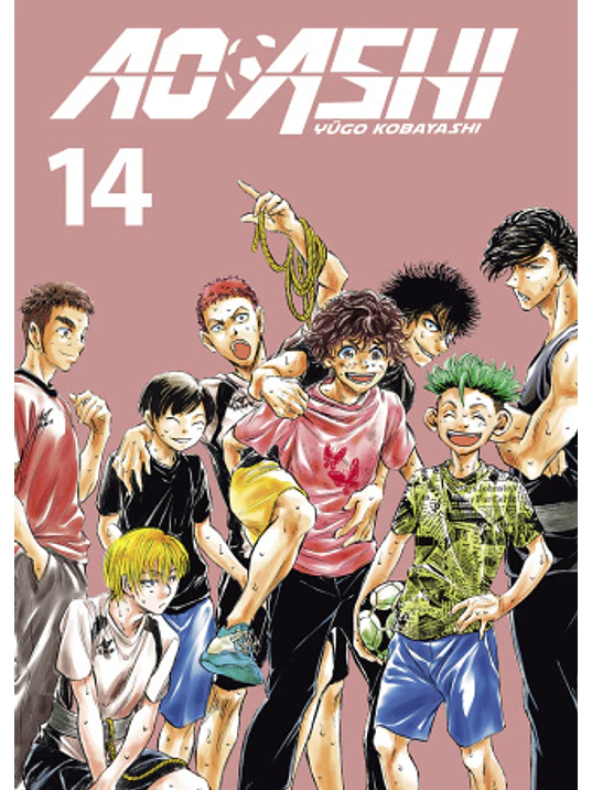 AO ASHI 14 - NORMA 1