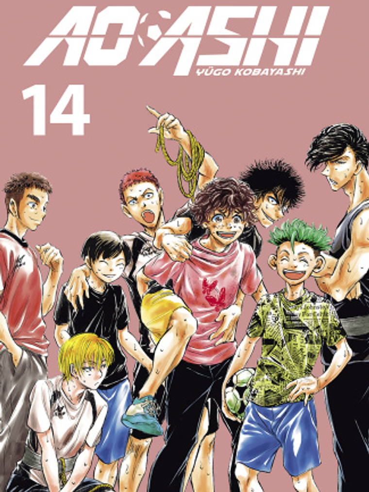 AO ASHI 14 - NORMA 1