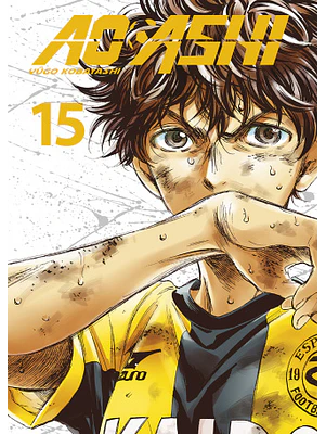 AO ASHI 15 - NORMA