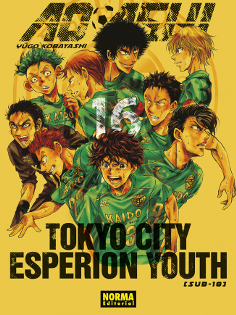 AO ASHI 16 - NORMA 1