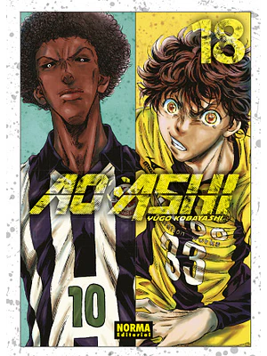AO ASHI 18 - NORMA
