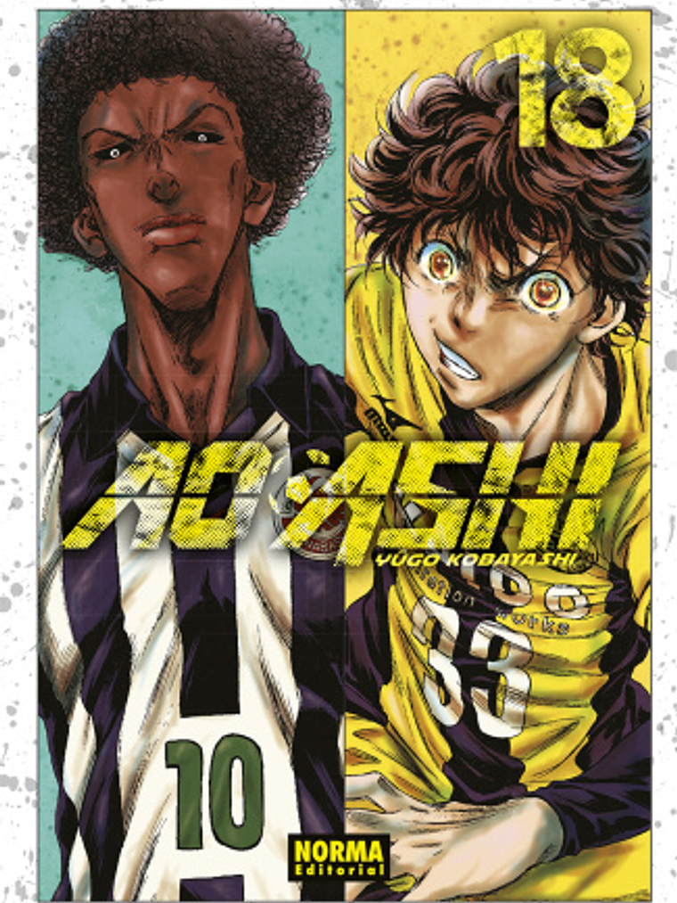 AO ASHI 18 - NORMA 1