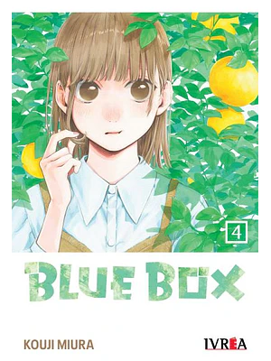 BLUE BOX 04 - IVREA ARGENTINA