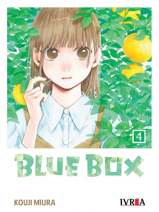 BLUE BOX 04 - IVREA ARGENTINA 1