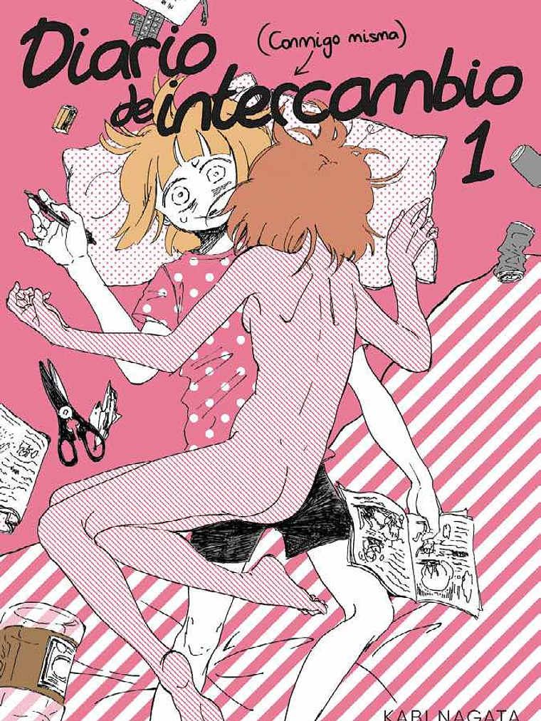 DIARIO DE INTERCAMBIO 01 - FANDOGAMIA 1