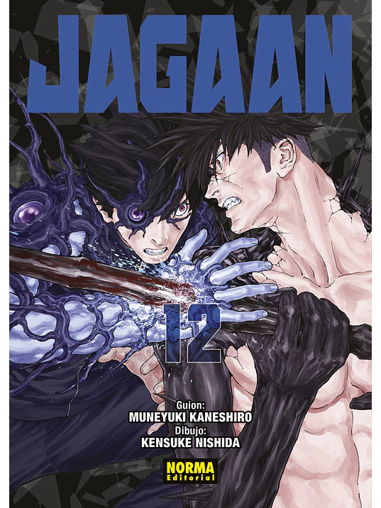 JAGAAN 12 - NORMA 1