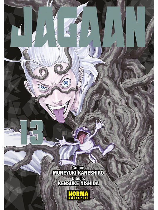 JAGAAN 13 - NORMA 1