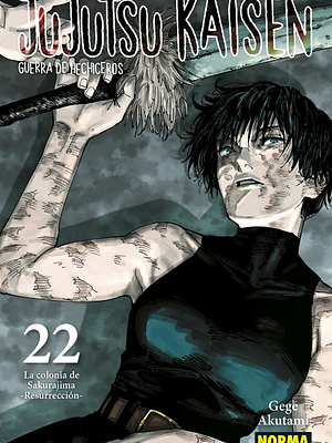 JUJUTSU KAISEN 22 - NORMA
