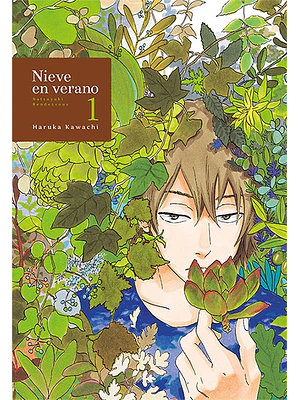 NIEVE EN VERANO 01 - TOMODOMO