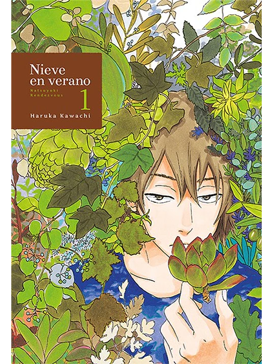 NIEVE EN VERANO 01 - TOMODOMO 1