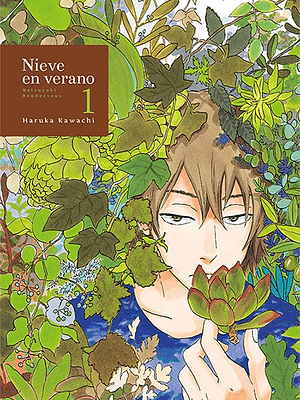 NIEVE EN VERANO 01 - TOMODOMO