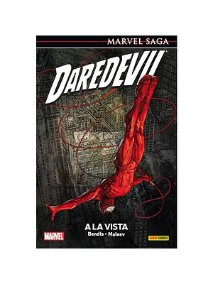 DAREDEVIL 06: A LA VISTA. MARVEL SAGA - PANINI ESPANA