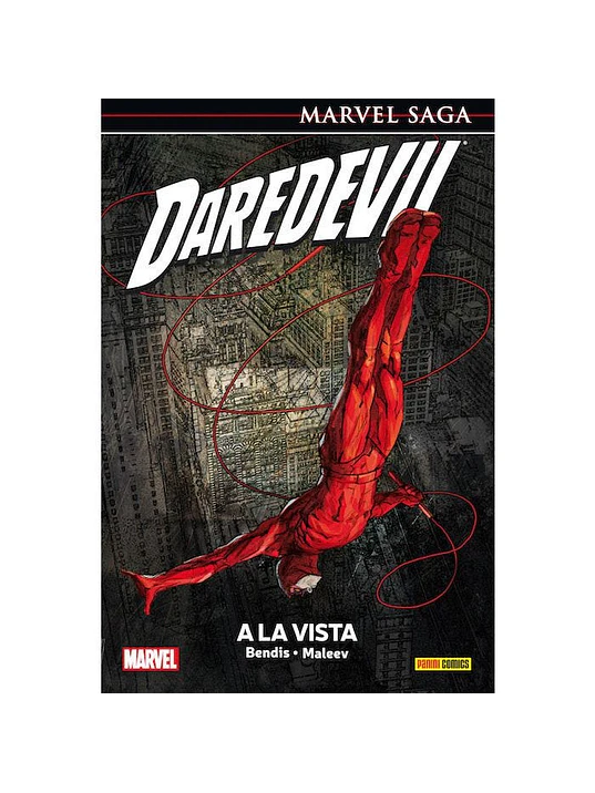 DAREDEVIL 06: A LA VISTA. MARVEL SAGA - PANINI ESPANA 1