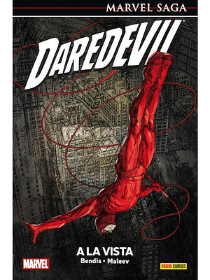 DAREDEVIL 06: A LA VISTA. MARVEL SAGA - PANINI ESPANA