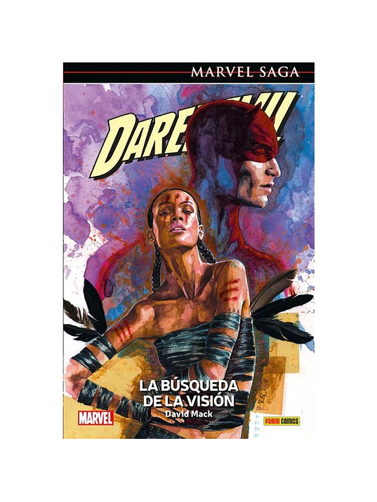 DAREDEVIL 09: LA B˜SQUEDA DE LA VISI”N. MARVEL SAGA - PANINI ESPANA 1