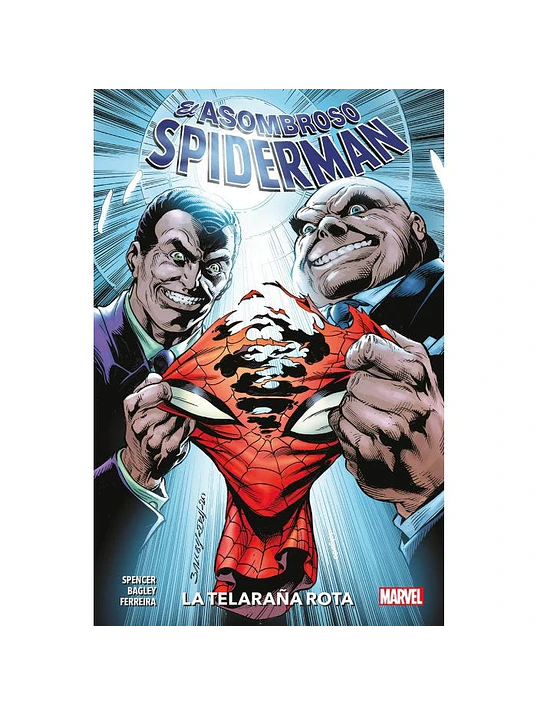 EL ASOMBROSO SPIDERMAN 14: LA TELARAÑA ROTA. MARVEL PREMIERE - PANINI ESPANA 1