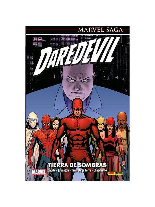 DAREDEVIL 23: TIERRA DE SOMBRAS. MARVEL SAGA - PANINI ESPANA 1