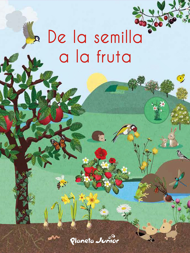DE LA SEMILLA A LA FRUTA - PLANETA JUNIOR 1