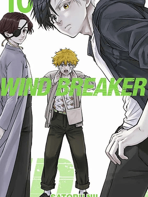 WIND BREAKER 10 - PANINI ARGENTINA