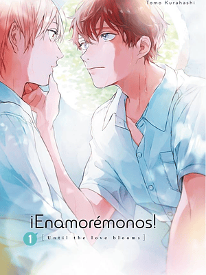 ENAMOREMONOS 01 - ARECHI