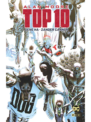 TOP 10 GRANDES NOVELAS GRÁFICAS DE DC - ECC