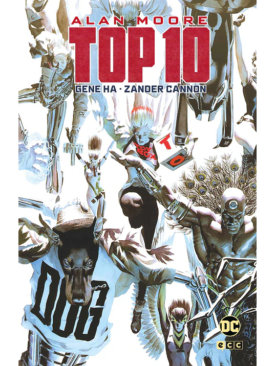 TOP 10 GRANDES NOVELAS GRÁFICAS DE DC - ECC 1