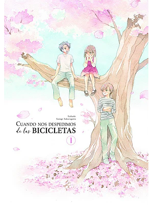 CUANDO NOS DESPEDIMOS DE LAS BICICLETAS 01 - ARECHI