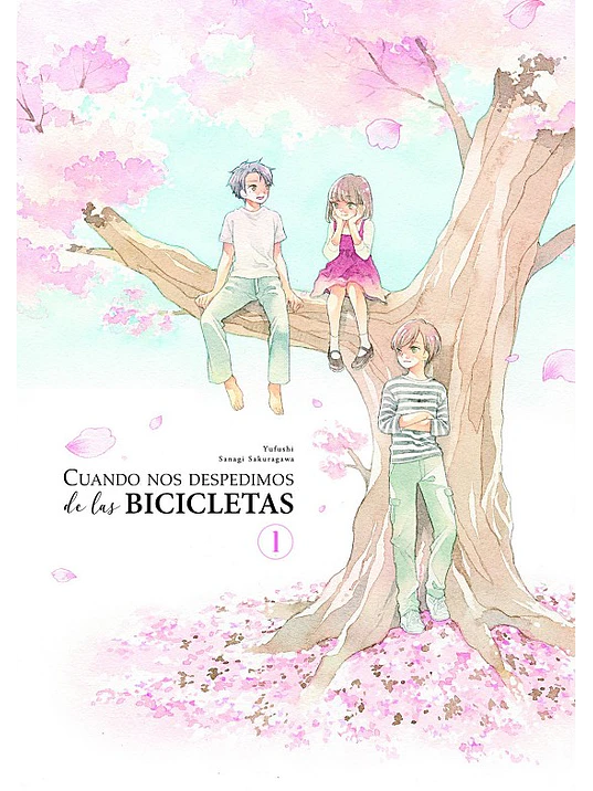 CUANDO NOS DESPEDIMOS DE LAS BICICLETAS 01 - ARECHI 1