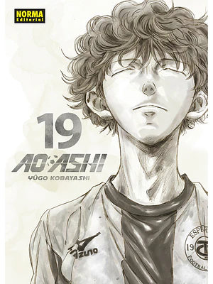 AO ASHI 19 - NORMA