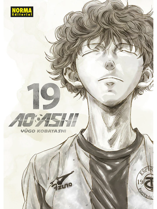 AO ASHI 19 - NORMA 1
