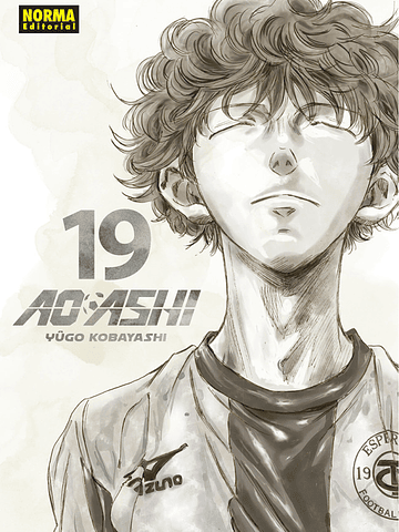 AO ASHI 19 - NORMA