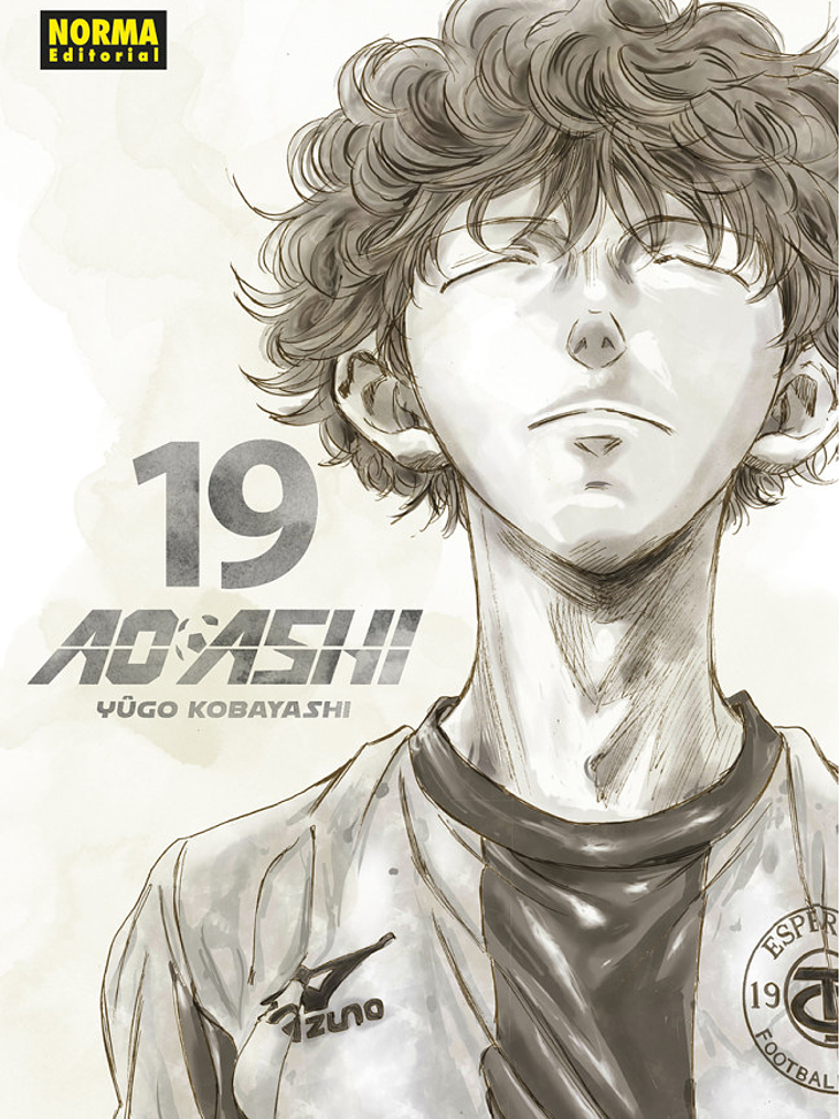 AO ASHI 19 - NORMA 1